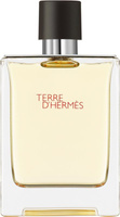 Hermes Terre d'Hermes Woda toaletowa dla mężczyzn 100 ml